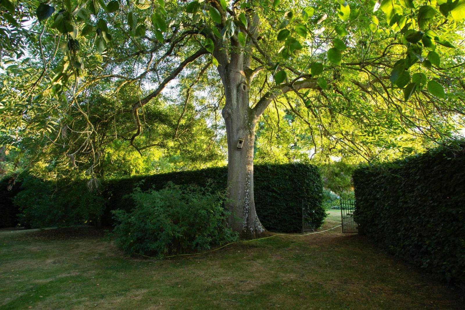 Ebony Cottage Tenbury Exteriör bild